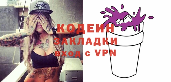 дживик Тында