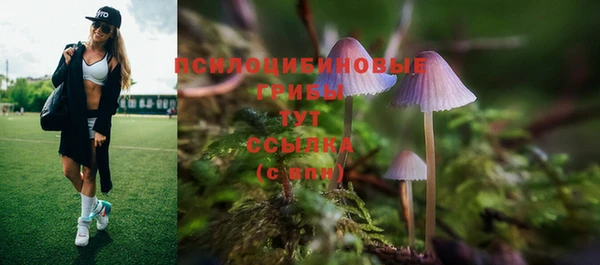 ПСИЛОЦИБИНОВЫЕ ГРИБЫ Ладушкин