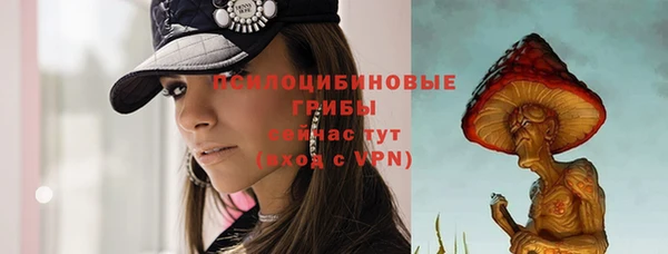 дживик Лагань
