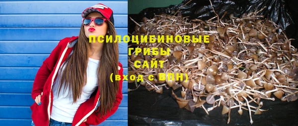 дживик Лагань