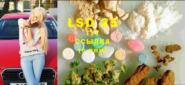 ПСИЛОЦИБИНОВЫЕ ГРИБЫ Ладушкин