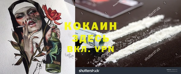 дживик Лагань