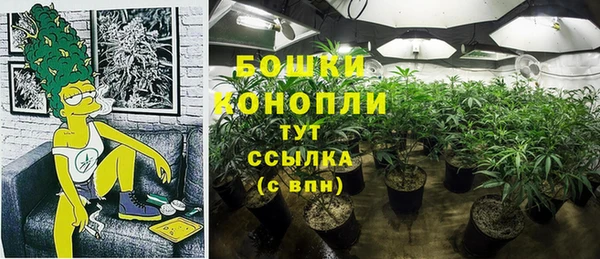 дживик Лагань